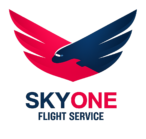Skyone FS